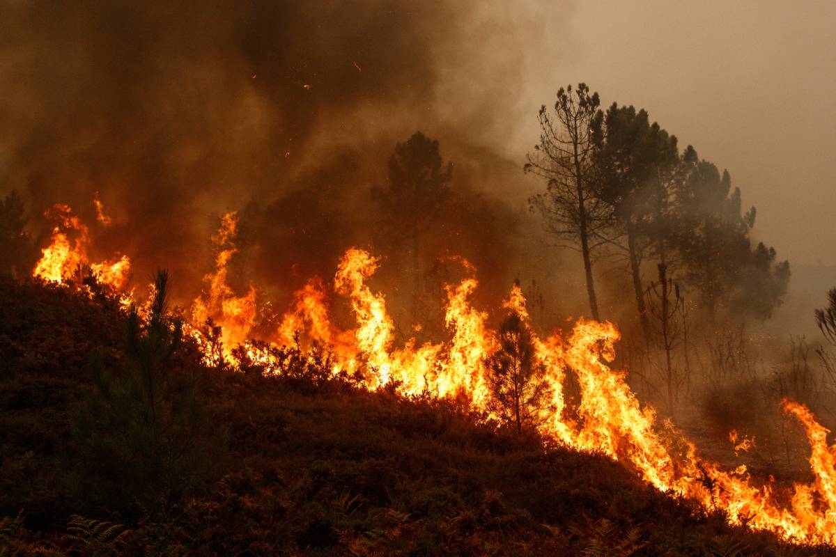 Burning wildfire
